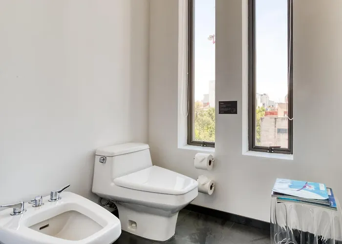 Luxurious Penthouse La Condesa W Terrace Mexico City