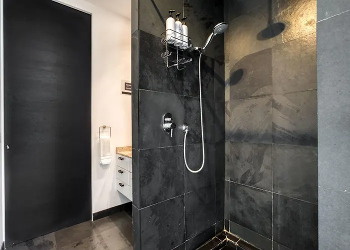 Luxurious Penthouse La Condesa W Terrace * Mexico City